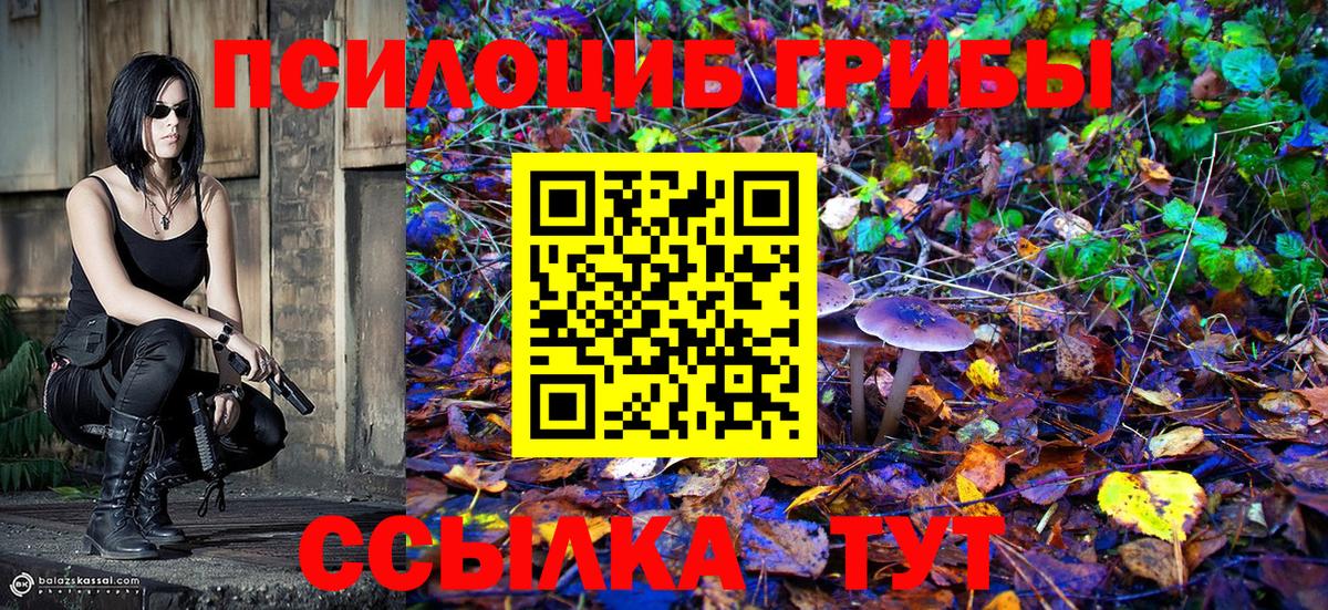 Псилоцибиновые грибы ЛСД Моздок