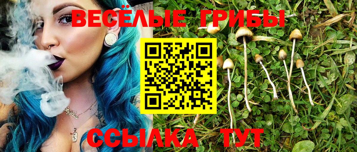 Псилоцибиновые грибы Cubensis  Вход с VPN  Моздок 